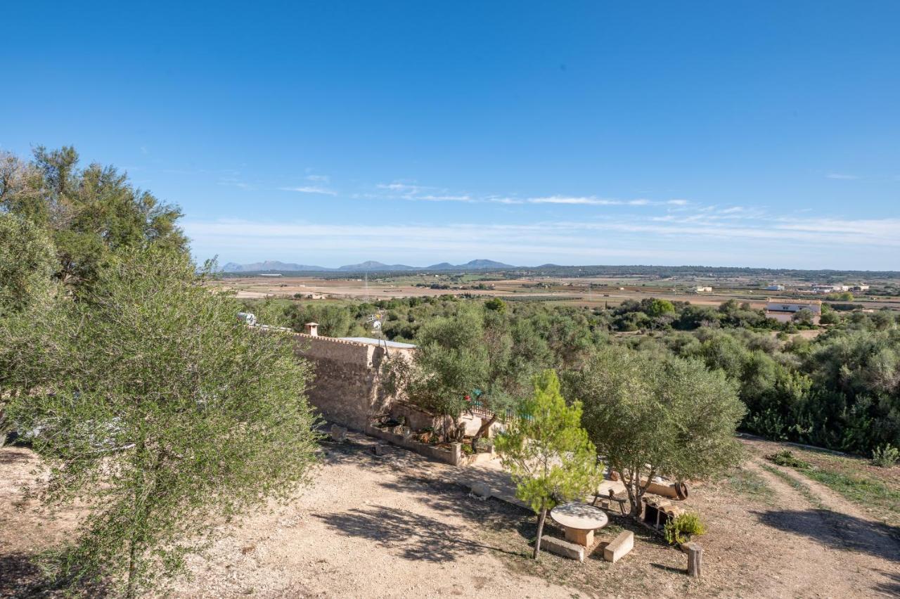 Son Pusseta Villa Petra  Buitenkant foto